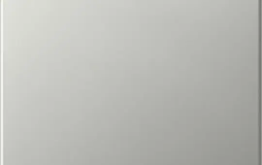 GIRA 3496600 Wippe System 55 1-fach, gerade | edelstahl