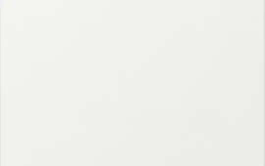 GIRA 349603 Wippe System 55 1-fach, gerade | reinweiß glänzend