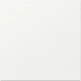 GIRA 349627 Wippe System 55 1-fach, gerade | reinweiß matt