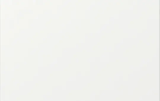 GIRA 349627 Wippe System 55 1-fach, gerade | reinweiß matt