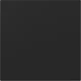 GIRA 3496005 Wippe System 55 1-fach, gerade | schwarz matt