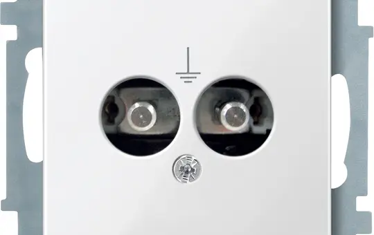 MERTEN 290419 Potentialausgleich-Steckdose System M 2-fach | polarweiß glänzend