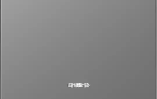 MERTEN MEG3322-6036 beschr. Kontrollwippe System Design 1-fach, Licht | edelstahl