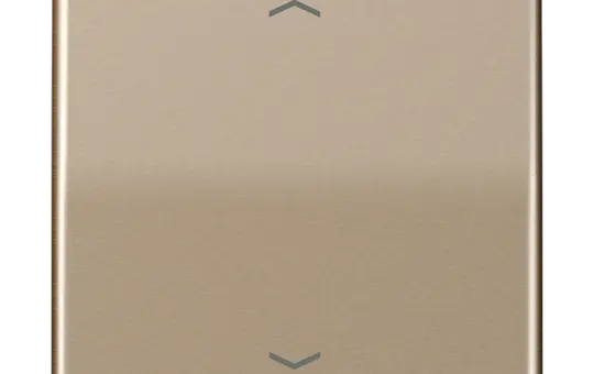 JUNG CD590PGB beschr. Wippe Serie CD 1-fach, Pfeile | gold-bronze