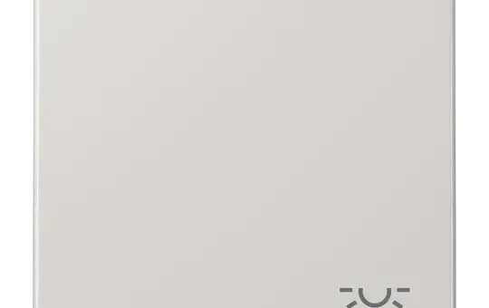 JUNG LS990LLG beschr. Wippe Serie LS 1-fach, Licht | lichtgrau