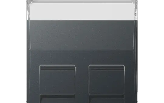 JUNG A569-30BFPLANM Modular-Jack-Abdeckung Serie A 2-fach, Schriftfeld, 30° | anthrazit matt