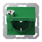 JUNG A1520BFKLSLGN EDV-Steckdose A/AS Berührungsschutz, Thermoplast, Klappd., Schloss | grün