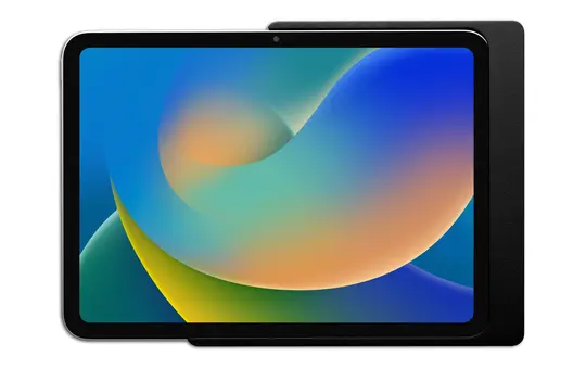 DISPLINE DSP-1-12-1100-02-C Wandhalterung Compan. Wall Home iPad Air 4 & Air 5 10,9/Pro 11 Zoll | schwarz pulverbeschichtet