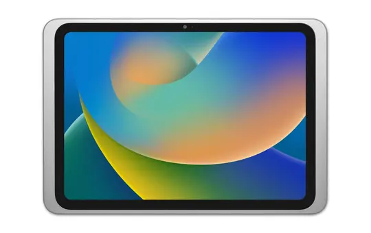 DISPLINE DSP-2-11-1009-11-C Wandhalterung Dame Wall 2.0 iPad 10,9 Zoll | silber eloxiert