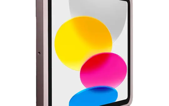 DISPLINE DSP-2-11-1009-15-C Wandhalterung Dame Wall 2.0 iPad 10,9 Zoll | rosegold eloxiert