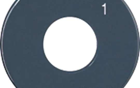 JUNG Ersatz-Skalenscheibe 