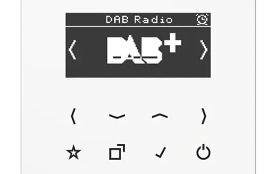 JUNG DABLSWW Unterputzradio Serie LS DAB+ | alpinweiß