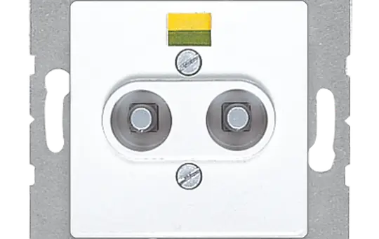 JUNG 165-2WW Potentialausgleich-Steckdose alpinweiß