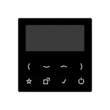 JUNG DABA-DISPSW Display für Unterputzradio Serie A/AS DAB+ | schwarz