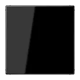 JUNG NRSLS0834NTSW Netzteil Serie LS Standard | schwarz