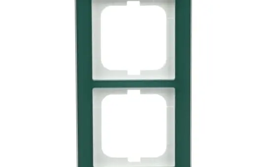 BUSCH-JAEGER 1722-226 Abdeckrahmen Axcent 2-fach, waagerecht | glas avocado