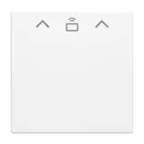 BUSCH-JAEGER 1792 RFID-884 Cardschalter-Abdeckung Future RFID | studioweiß matt