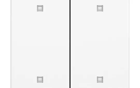 BUSCH-JAEGER 2570-20-84 Wippe für Elektroniktaster Future 2-fach | studioweiß