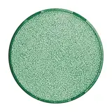 BUSCH-JAEGER 1565-13 Haube für Lichtsignal Balance SI Standard | grün