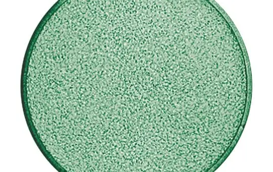 BUSCH-JAEGER 1565-13 Haube für Lichtsignal Balance SI Standard | grün