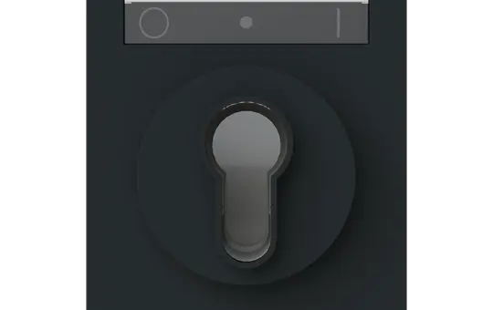 BUSCH-JAEGER 1755 SL/PZ-45M Schlüsselschalterab. art linear Standard | schwarz matt