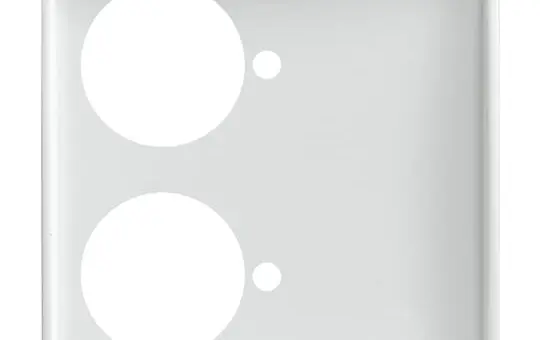 BUSCH-JAEGER 1790-592-914 Zentralscheibe f. Zettler Balance 2-fach | alpinweiß