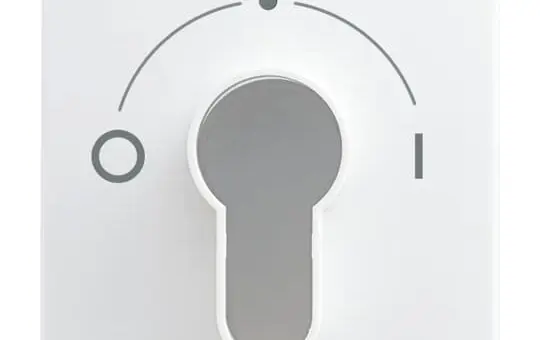 BUSCH-JAEGER 2557 SLPZ-914-101 Schlüsselschalter Balance IO | alpinweiß