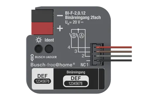 BUSCH-JAEGER BI-F-2.0.12 Binäreingang UP free@home 2-fach, mit Kontaktabfragespannung