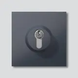 SIEDLE SM 611-01 AG Schloss-Modul zweistufiger Tastkontakt | anthrazitgrau