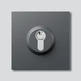 SIEDLE SM 611-01 DG Schloss-Modul zweistufiger Tastkontakt | dunkelgrau glimmer