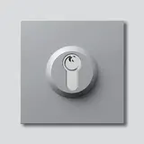 SIEDLE SM 611-01 SM Schloss-Modul zweistufiger Tastkontakt | silber metallic