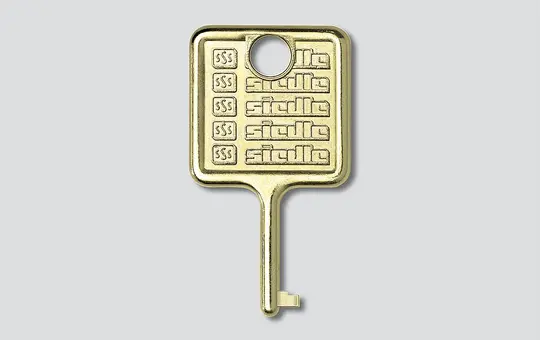 SIEDLE IM 511-0 Schlüssel für Informations-Modul