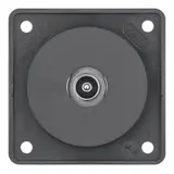 BERKER 945112515 Antennendose Integro Flow 1-fach, TV | anthrazit matt