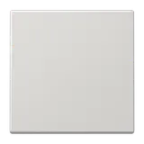 JUNG BLELS990LG Funk-Tastsensor BLE Serie LS 2-fach | lichtgrau
