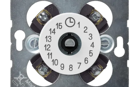 JUNG 11015WW Schaltuhr-Einsatz 15 Minuten, 2-polig