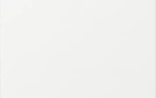 GIRA 361403 beschr. Wippe System 55 1-fach, EIN/AUS | reinweiß glänzend