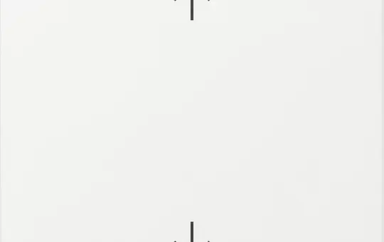 GIRA 361603 beschr. Wippe System 55 1-fach, Pfeile | reinweiß glänzend