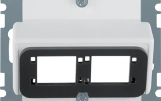 BERKER 14611909 Doppelmodul-Abdeckung B.3/Q.1/Q.3/Q.7 2-fach, Reichle&De-Massari | polarweiß matt