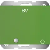 BERKER 41517113 EDV-Steckdose K.1/K.5 SV, Klappdeckel, Berührungsschutz, LED | grün glänzend