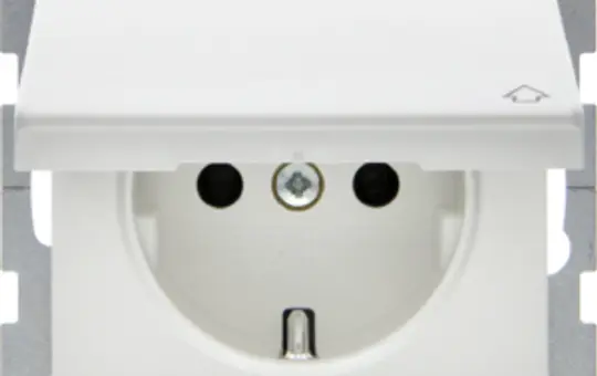 BERKER 47516039 EDV-Steckdose Q.1/Q.3 SV, grün, Klappdeckel | polarweiß samt