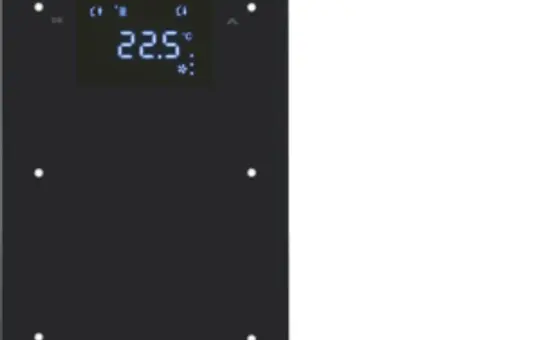 BERKER 75642065 Touch-Sensor Glas R.1 2-fach, Temperaturregler, nicht konfiguriert | glas schwarz