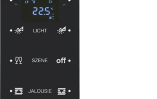 BERKER 75643165 Touch-Sensor Glas R.1 3-fach, Temperaturregler, konfiguriert | glas schwarz