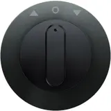 BERKER 1080204500 Jalousie-Drehschalterabdeckung R.1/R.3 Standard | schwarz glänzend