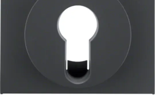 BERKER 15057006 Zentralstück Schlüsselschalter K.1/K.5 Standard | anthrazit matt