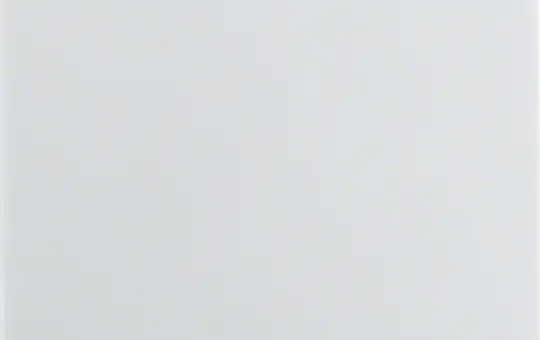 BERKER 16298989 Wippe S.1 mit Befestigungsstück, IP44 | polarweiß glänzend