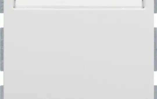 BERKER 16409909 Relais-Schalter für Hotelcard S.1/B.3/B.7 mit Aufdruck | polarweiß matt