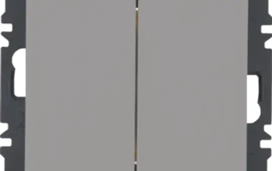 BERKER 24126034 Friends of Hue-Tastsensor Q.1/Q.3 2-fach | alu samt