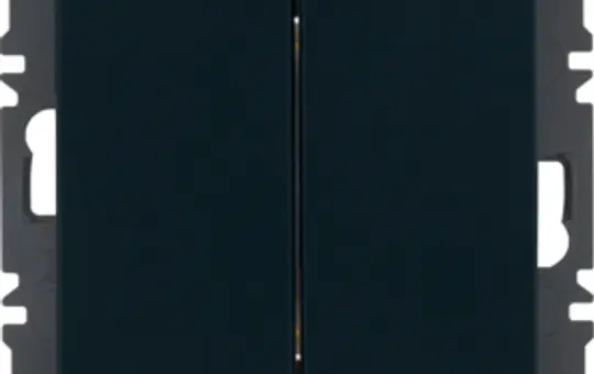 BERKER 24126036 Friends of Hue-Tastsensor Q.1/Q.3 2-fach | anthrazit samt