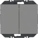 BERKER 24127034 Friends of Hue-Tastsensor K.1/K.5 2-fach | edelstahl lackiert