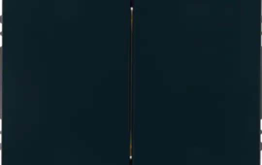 BERKER 24127036 Friends of Hue-Tastsensor K.1/K.5 2-fach | anthrazit samt